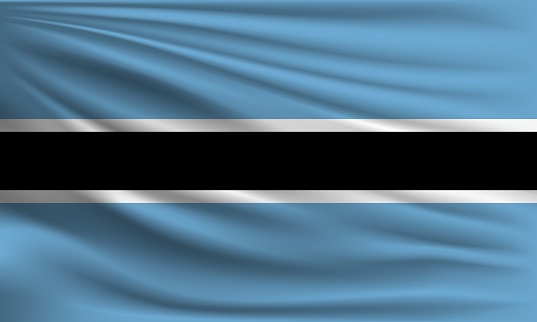 Congress Tech Systems Botswana